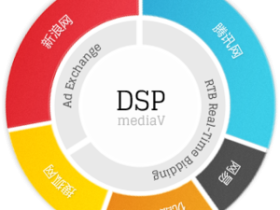 细数中国DSP行业“五大病态“