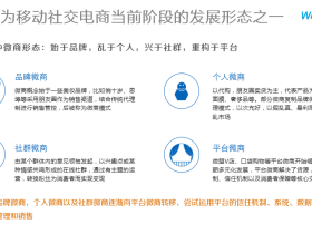 2015年一季度中国微商行业报告
